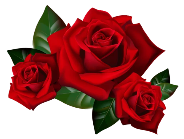 Kwiaciarnia Deo Gratias